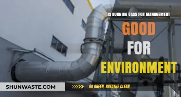 Burning Gas for Waste Management: Eco-Friendly Solution or Environmental Hazard?