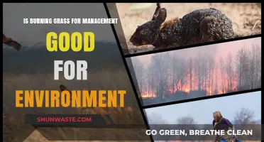 Burning Grass for Management: Eco-Friendly or Environmental Hazard?