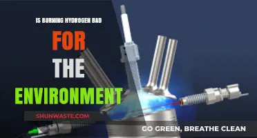 Is Hydrogen Combustion Eco-Friendly? Environmental Impacts Explained
