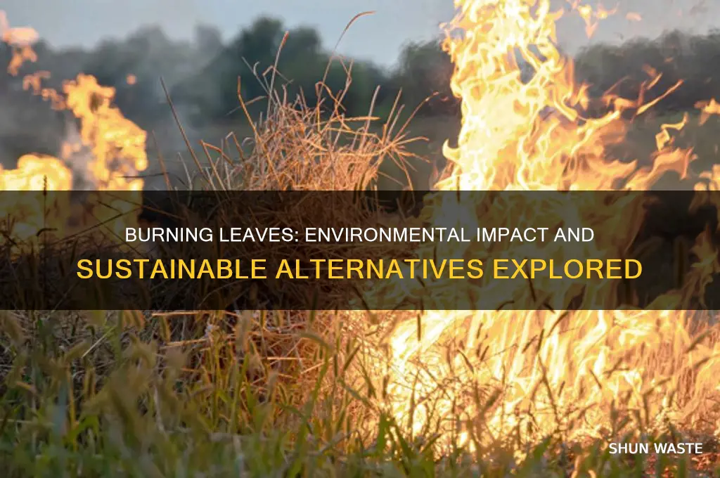 is burning leaves bad for the environment