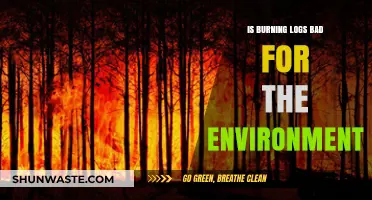 Is Burning Logs Eco-Friendly? Environmental Impact of Wood-Burning Explained