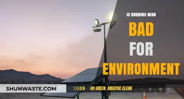 Is Burning Man Eco-Friendly? Environmental Impact of the Desert Festival