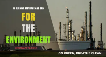 Is Burning Methane Gas Harmful to Our Environment? Exploring the Impact