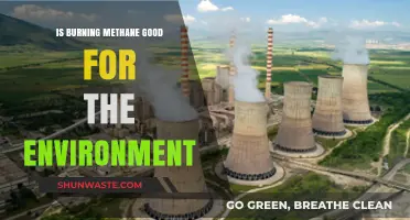 Is Burning Methane Eco-Friendly? Unveiling Its Environmental Impact