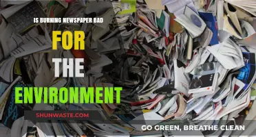 Is Burning Newspaper Harmful? Environmental Impact and Eco-Friendly Alternatives