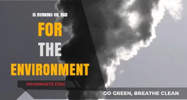Is Burning Oil Harming Our Planet? Environmental Impact Explained