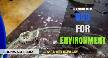 Is Burning Paper Eco-Friendly? Environmental Impact Explained