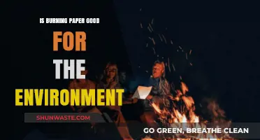 Is Burning Paper Eco-Friendly? Uncovering the Environmental Impact
