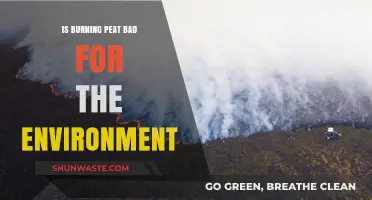 Burning Peat: Environmental Impact and Sustainable Alternatives Explored