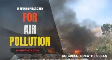 How Plastic Burning Harms Air Quality and Our Health