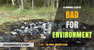 Burning Plastic: Environmental Hazards and Sustainable Alternatives Explained
