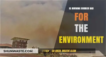 Burning Rubber: Environmental Impact and Sustainable Alternatives Explored