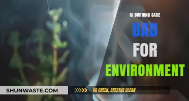 Is Sage Burning Harmful to the Environment? Exploring the Impact