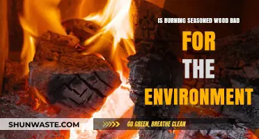 Is Burning Seasoned Wood Eco-Friendly? Environmental Impacts Explained