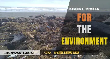 Burning Styrofoam: Environmental Impact and Sustainable Alternatives Explored