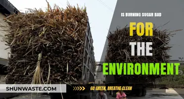 Burning Sugar's Environmental Impact: A Sweet or Sour Reality?