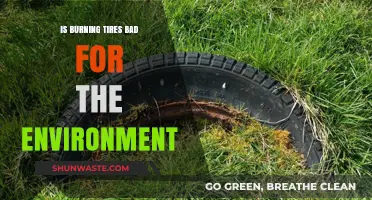 Burning Tires: Environmental Impact and Sustainable Alternatives Explored