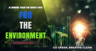 Burning Trash for Energy: Eco-Friendly Solution or Environmental Hazard?
