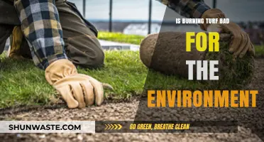 Burning Turf: Environmental Impact and Sustainable Alternatives Explored