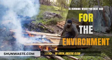 Is Wood Burning for Heat Eco-Friendly or Environmentally Harmful?