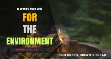 Is Burning Wood Eco-Friendly? Uncovering the Environmental Impact
