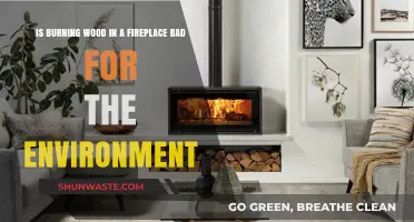 Is Wood-Burning in Fireplaces Harming Our Environment? A Critical Look