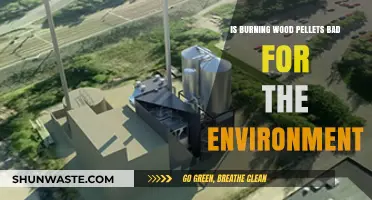 Wood Pellet Burning: Environmental Impact and Sustainability Concerns Explored