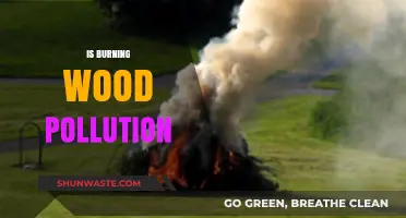 Wood Burning: Pollution or Green Energy?