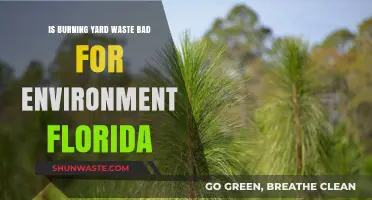 Burning Yard Waste in Florida: Environmental Impact and Sustainable Alternatives