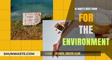 Burt's Bees Environmental Impact: Sustainable Practices or Greenwashing?