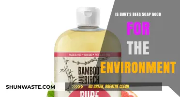Is Burt's Bees Soap Eco-Friendly? A Green Cleaning Review