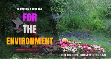 Burying Bodies: Environmental Impact of Traditional Burial Practices