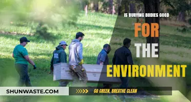 Eco-Friendly Burials: Are Traditional Body Disposals Environmentally Beneficial?