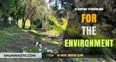 Environmental Impact of Burying Titanium: Sustainable Practice or Ecological Hazard?