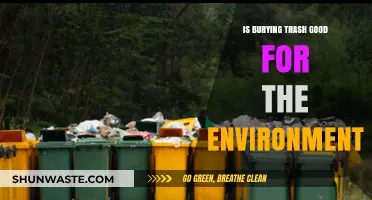 Burying Trash: Eco-Friendly Solution or Environmental Hazard?