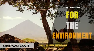 Bushcraft's Environmental Impact: Sustainable Practice or Harmful Trend?
