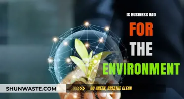 Business and the Environment: Balancing Profit with Planetary Health