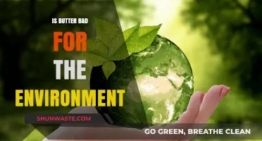 Butter's Environmental Impact: Sustainable Choice or Ecological Concern?
