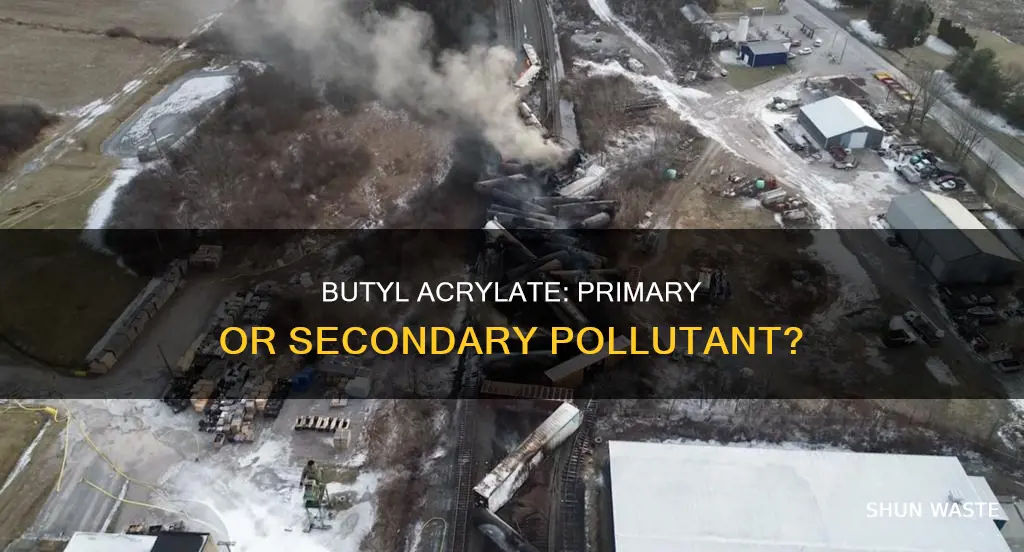 is butyl acrylate a primary or secondary pollutant