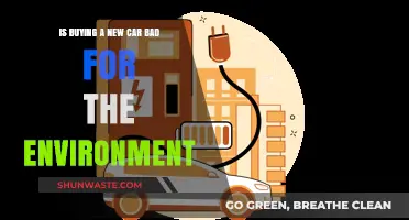Is Buying a New Car Harming Our Planet? Eco-Impact Explained