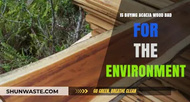 Is Acacia Wood Eco-Friendly? Environmental Impact of Acacia Purchases