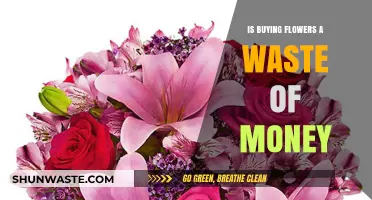 Are Flowers Worth It? Debunking the Myth of Wasted Money
