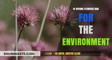Are Flowers Eco-Friendly? Unveiling the Environmental Impact of Floral Purchases