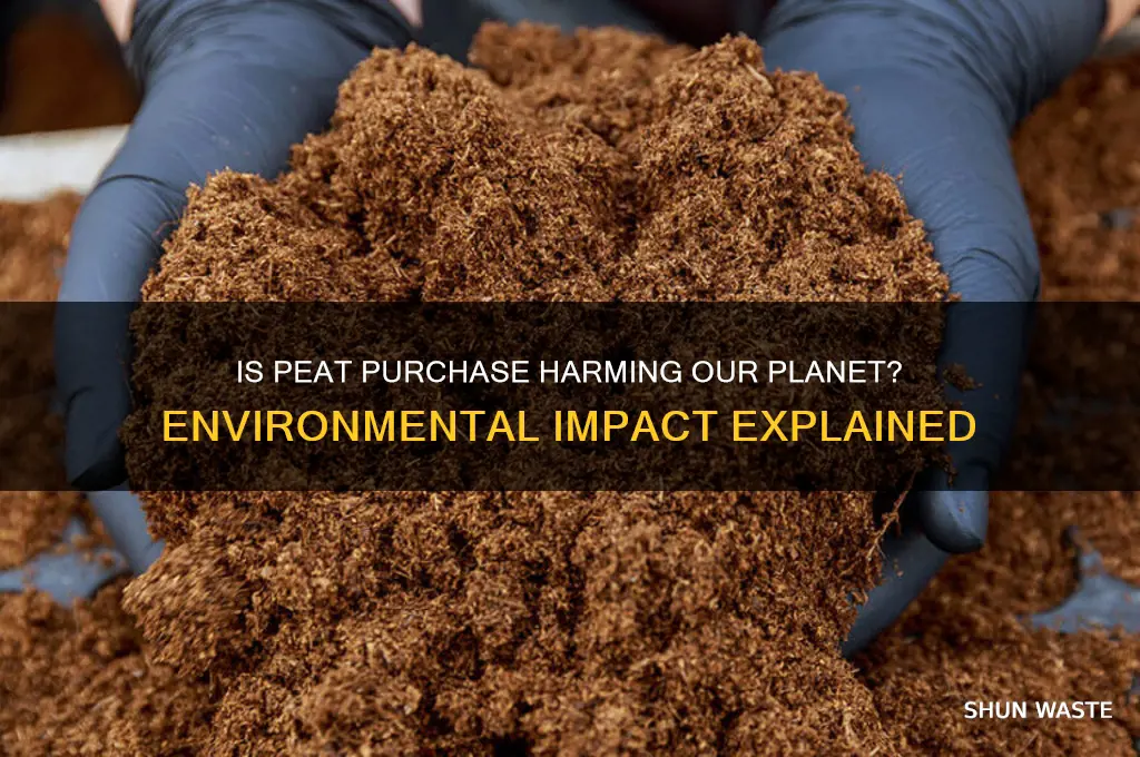 is buying peat bad for the environment