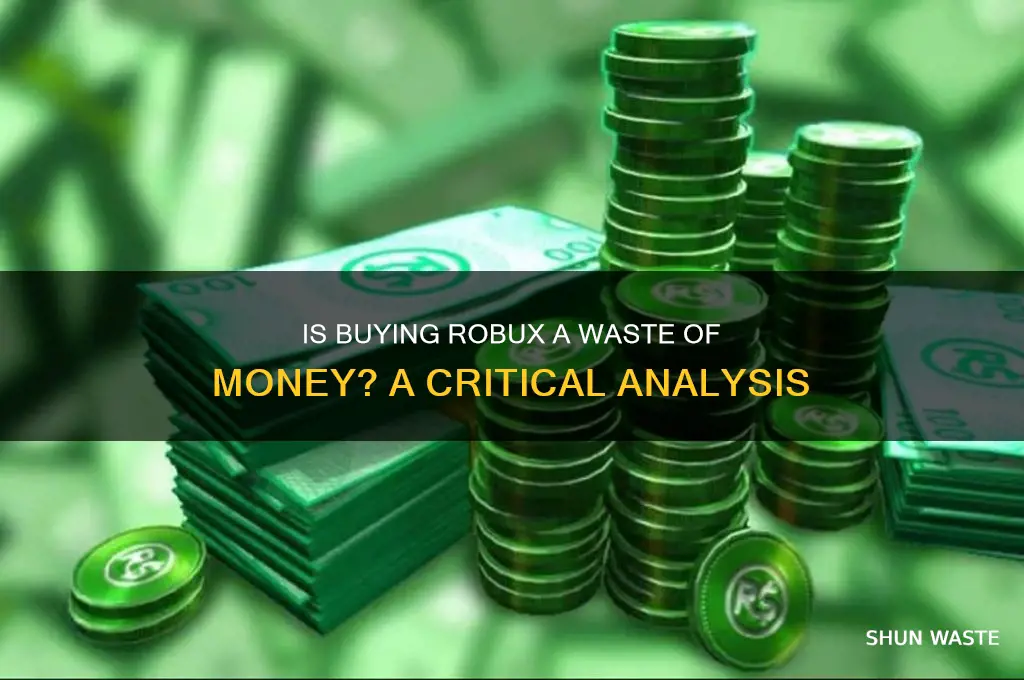 is buying robux a waste of money
