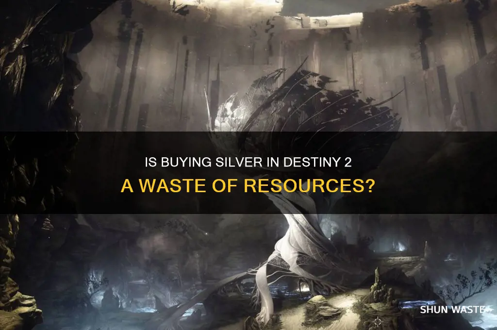 is buying silver a waste destiny 2