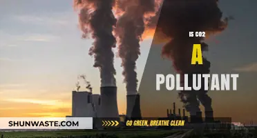 The Truth About Carbon Dioxide: Pollutant or Not?