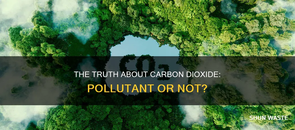 is c02 a pollutant