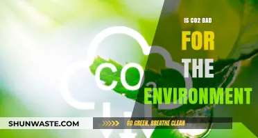 CO2's Environmental Impact: Harmful Effects and Sustainable Solutions Explained