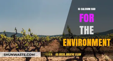 Calcium's Environmental Impact: Uncovering the Hidden Ecological Consequences